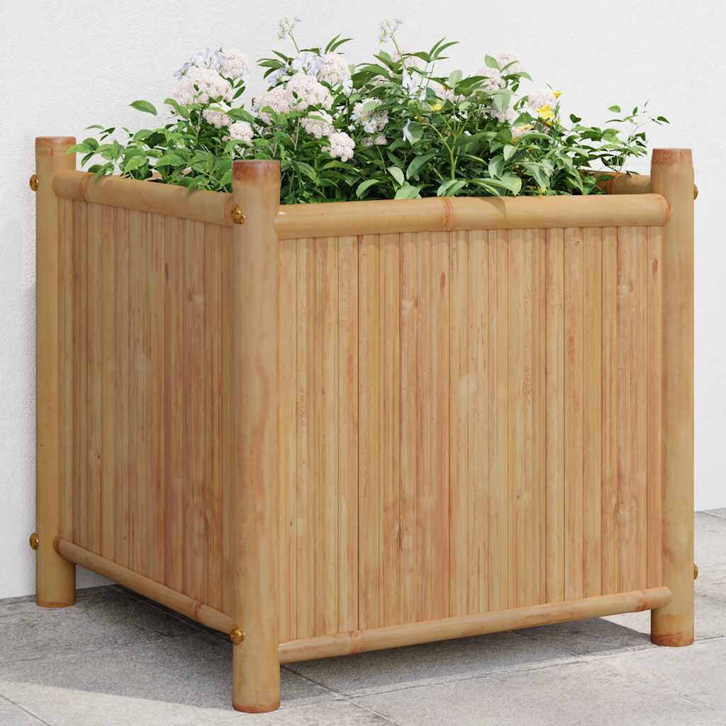 planters 50x   planters 40x   planters