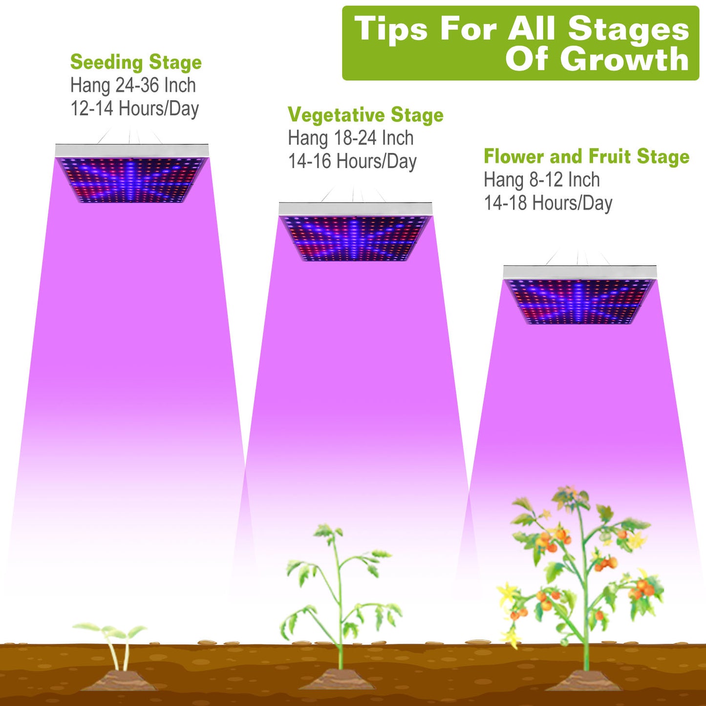 1aa64be566364bbdbeec5b4ca09e63c1