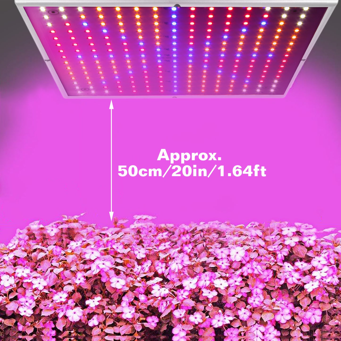 32ee04250447f4d467a2480a00d6a8f2