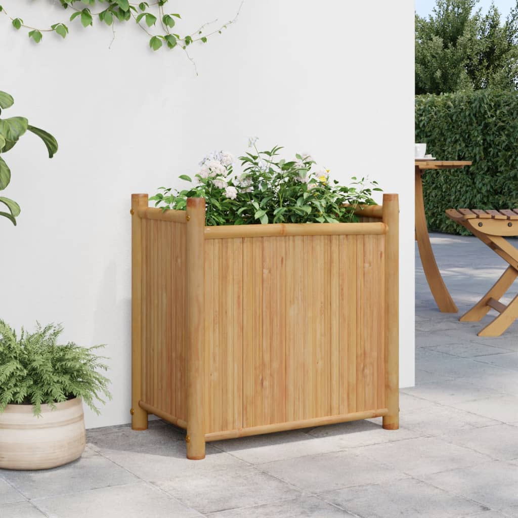 planters 50x   planters 40x   planters
