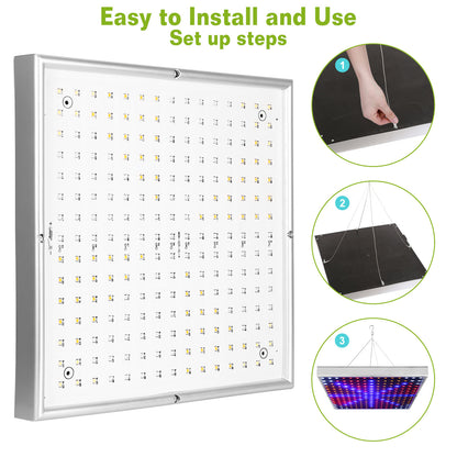 fd31b71e8ee3a6ed5c8a88c23a908825