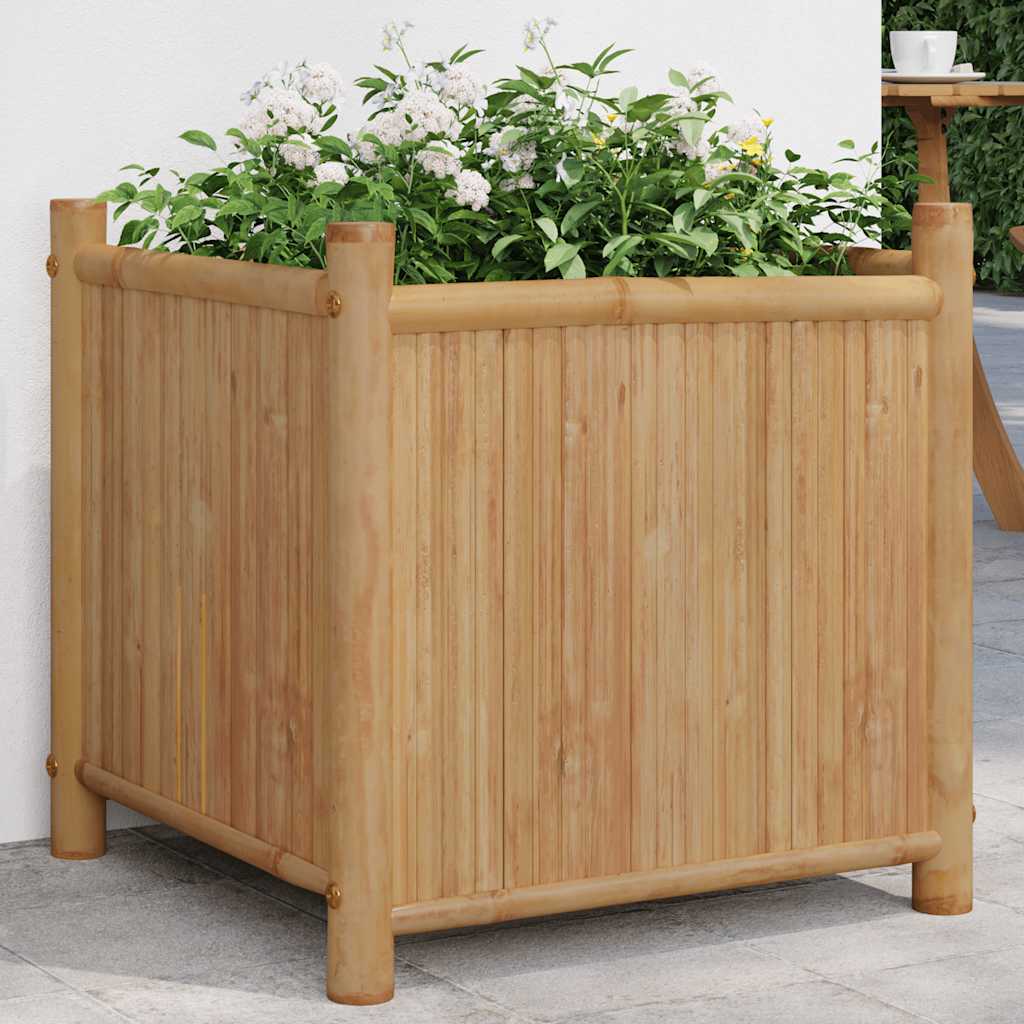 planters 50x   planters 40x   planters